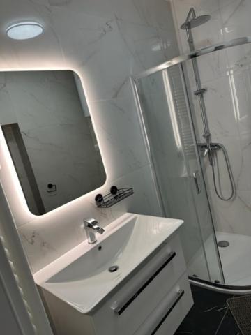 Gostilna In Apartmaji Zlati Lev - Apartment *